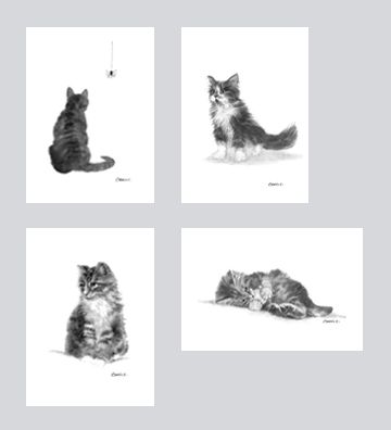 Cat Art Card Set DC-G003