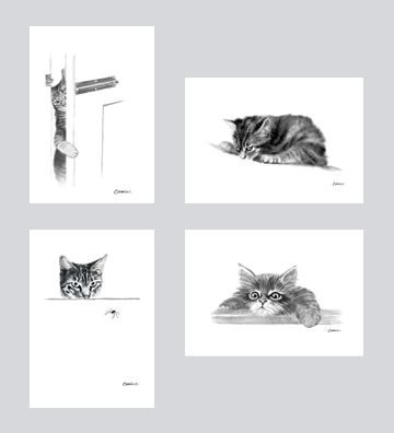Cat Art Card Set DC-G006