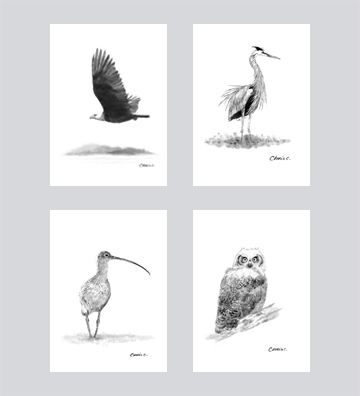 Wildlife Art Card Set DW-G001