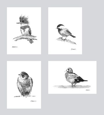 Wildlife Art Card Set DW-G002