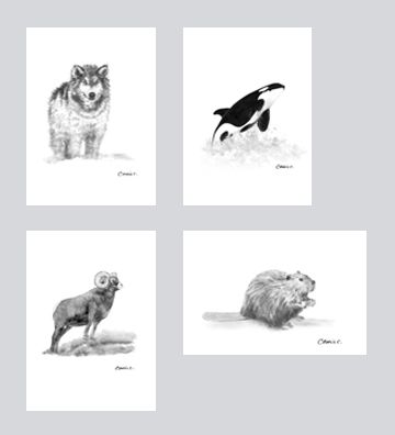 Wildlife Art Card Set DW-G003