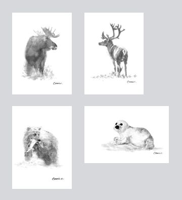 Wildlife Art Card Set DW-G004