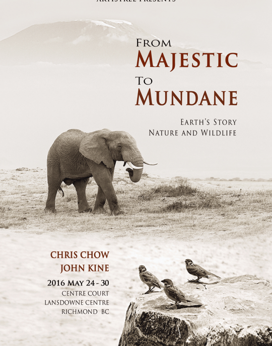 This is default alt image