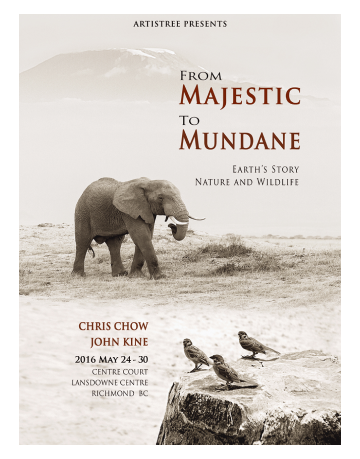 This is default alt image